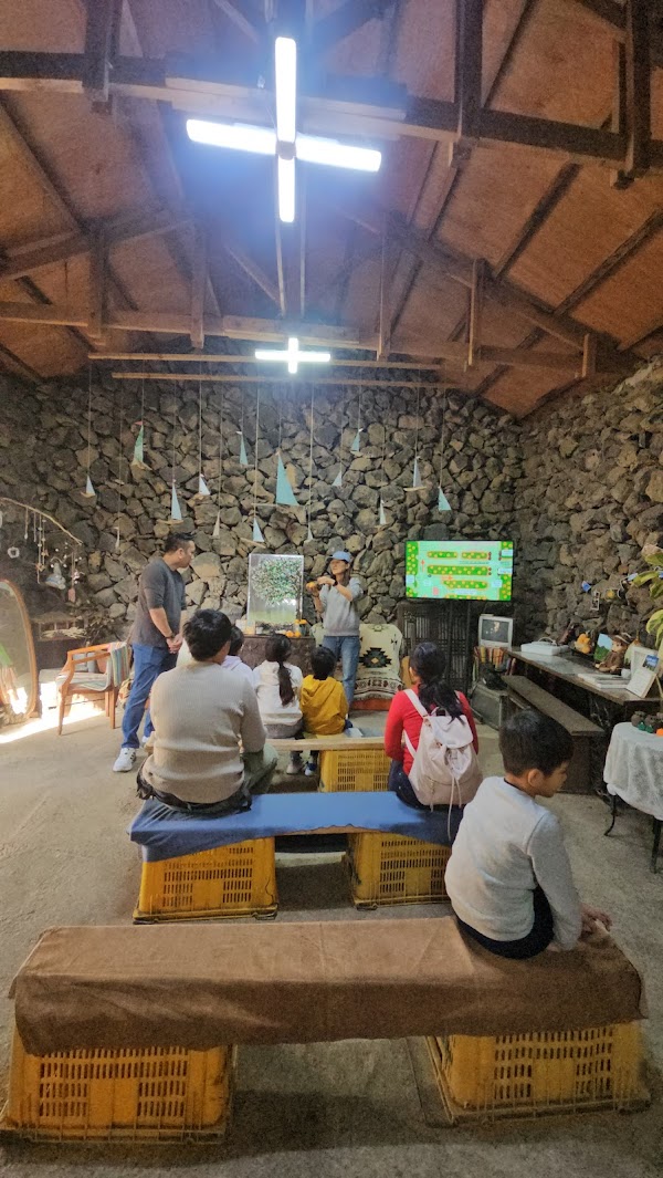 Jeju Organic Tangerine Farm 3