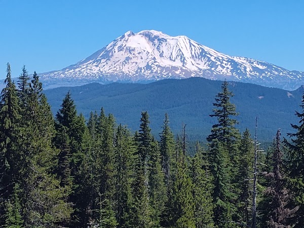 Gifford Pinchot National Forest 1