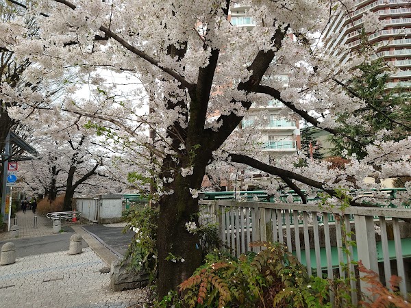 Kanda Josui Park 1