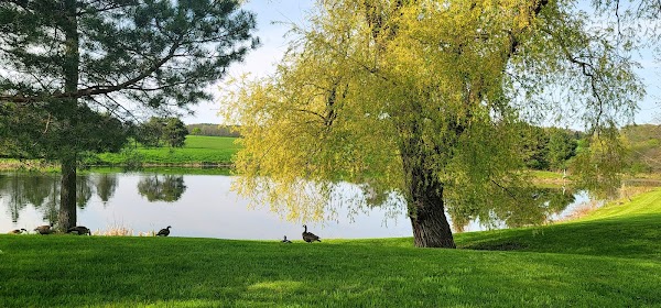 Shelburne 2