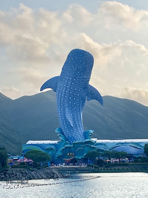 Whale Shark Aquarium 1