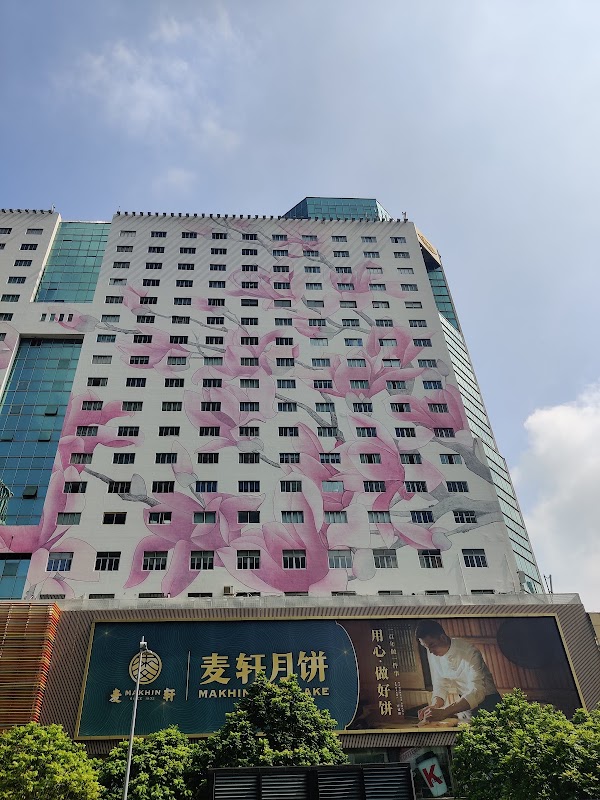 Huaqiangbei 5