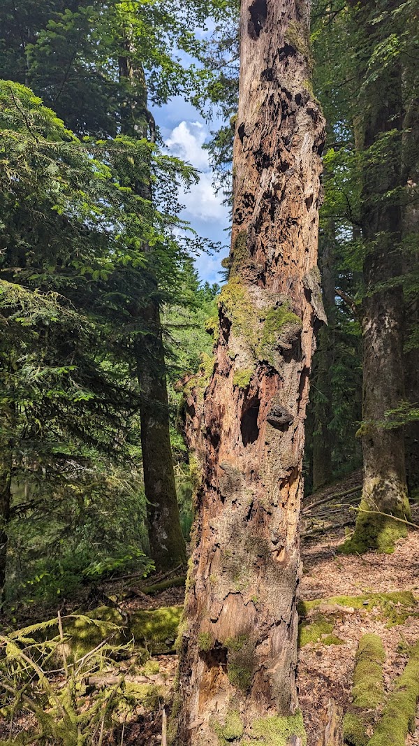 Plateau des Mille Étangs 4