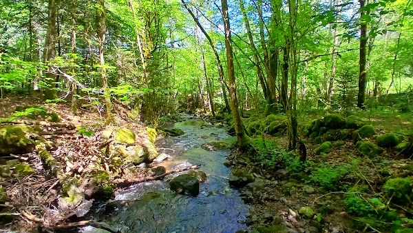 Plateau des Mille Étangs 3