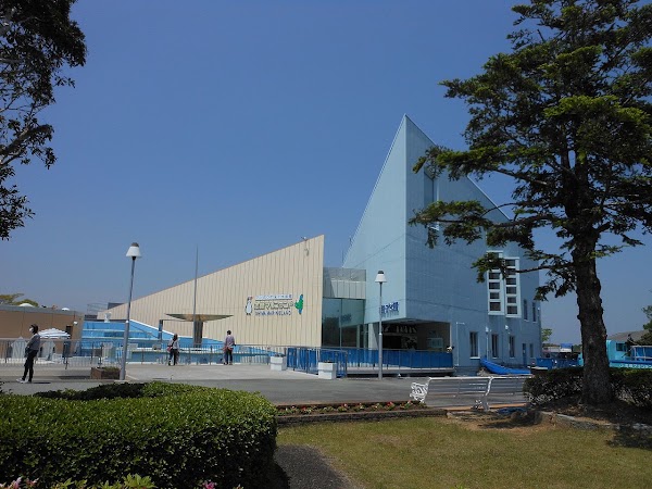 Shima 4