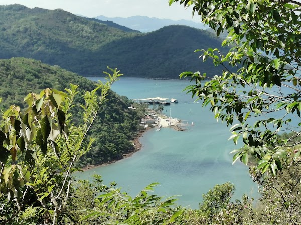 Pak Tam Au
