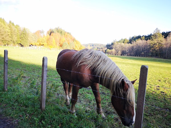 Warmbad-Judendorf 5