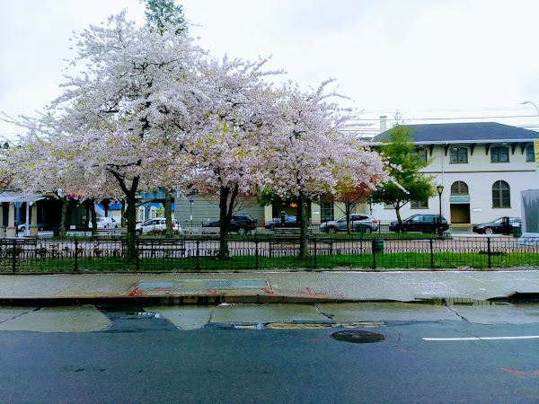 Queens Village 4