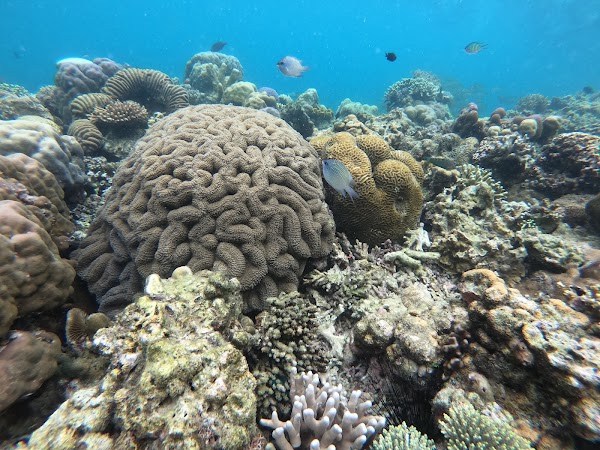 Siete Pecados Marine Park 2