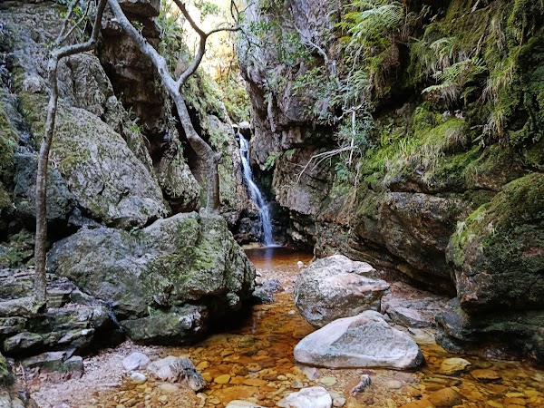 Jonkershoek Nature Reserve 4