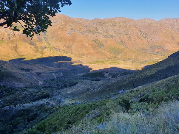 Jonkershoek Nature Reserve 2