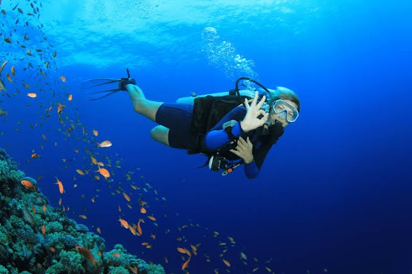 Turneffe Atoll 1
