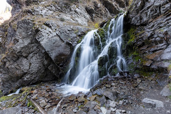 Bear Waterfall 1