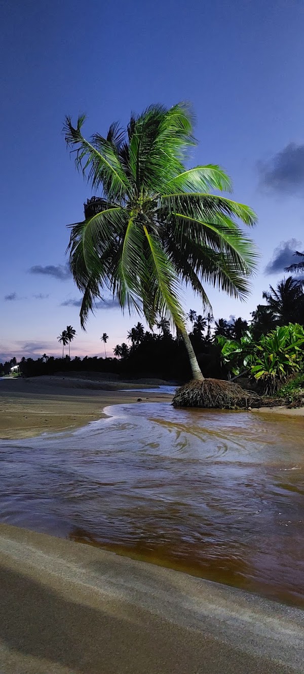 Ponta do Mangue