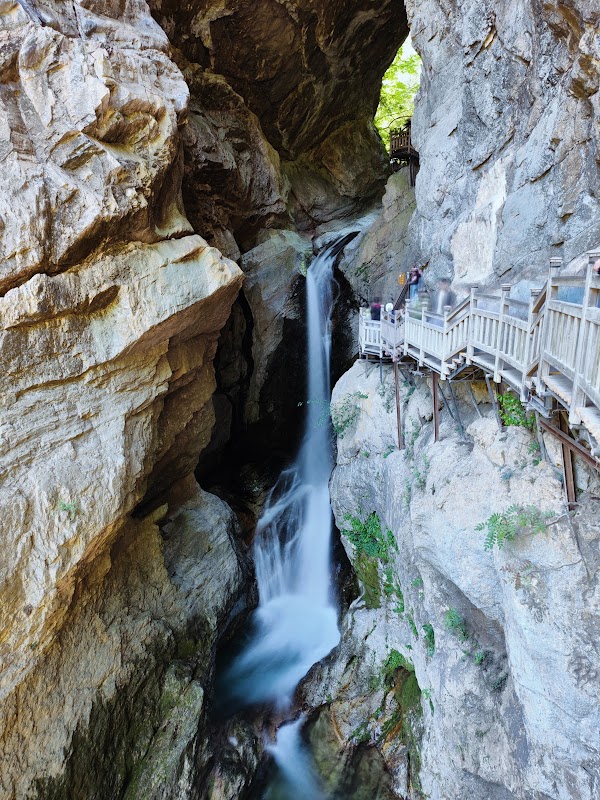 Shennongjia 5