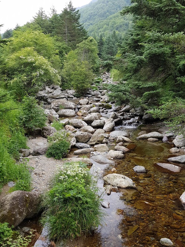 Shennongjia 3
