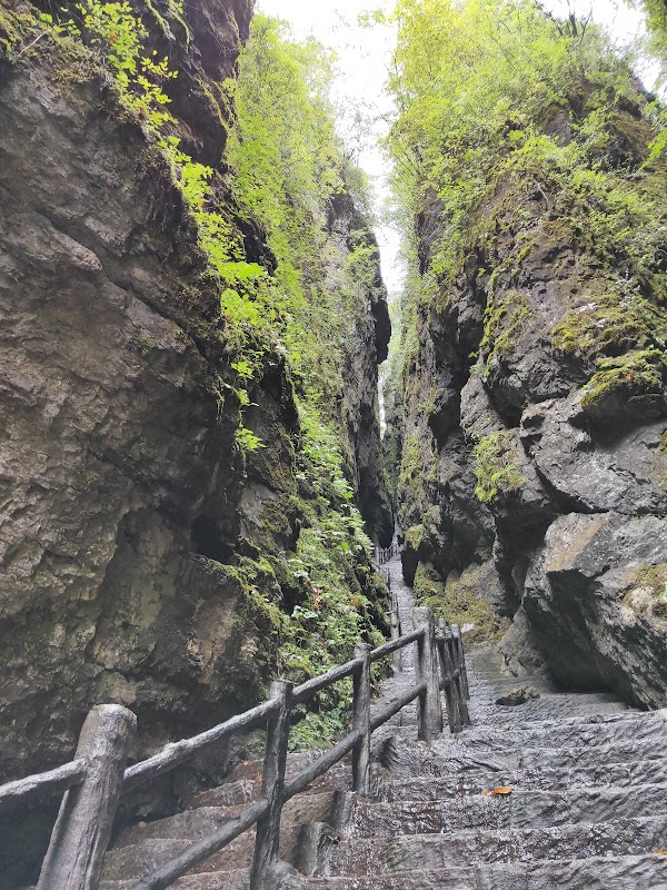 Shennongjia 2