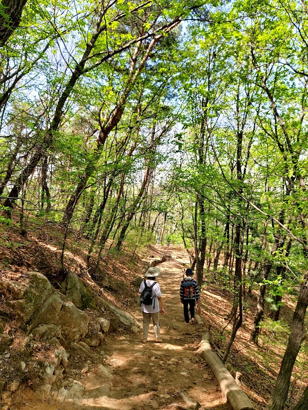 Hoamsan 3