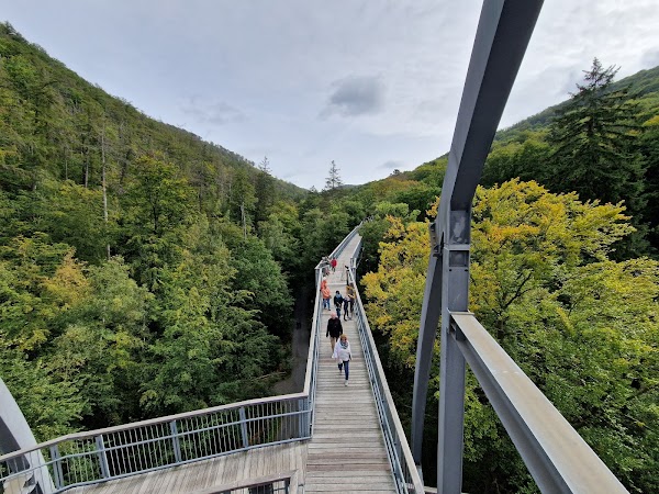 Baumwipfelpfad Harz 5