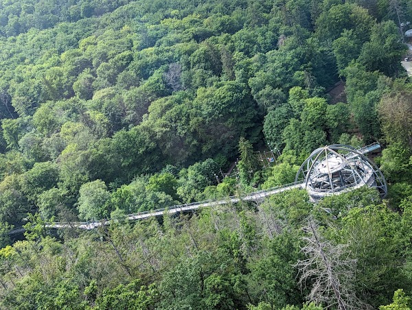 Baumwipfelpfad Harz 4