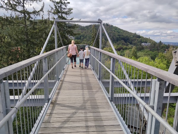 Baumwipfelpfad Harz 3