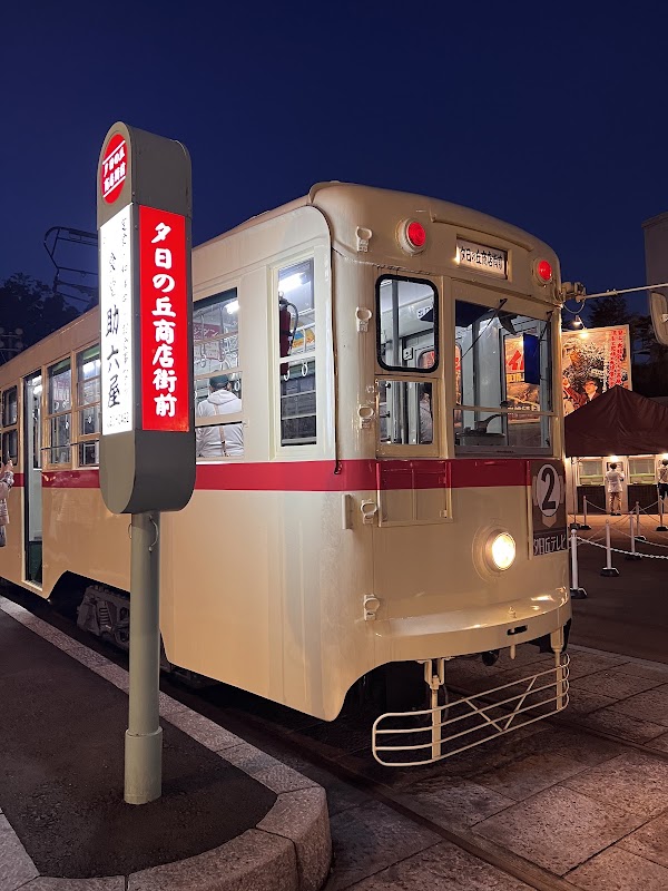 Seibuen Amusement Park 3