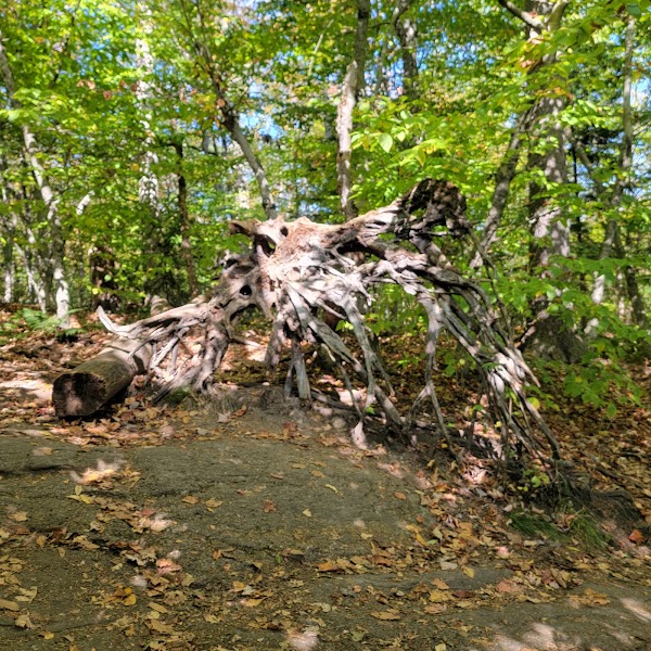 Rocky Mountain Summit 4