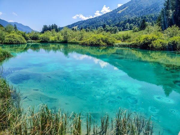 Zelenci