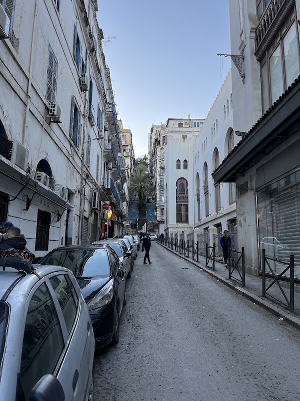 Museum of Modern Art of Algiers 3