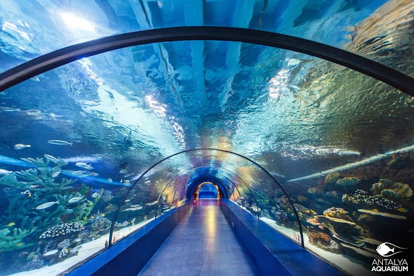 Antalya Aquarium 5