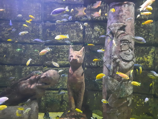 Antalya Aquarium 2