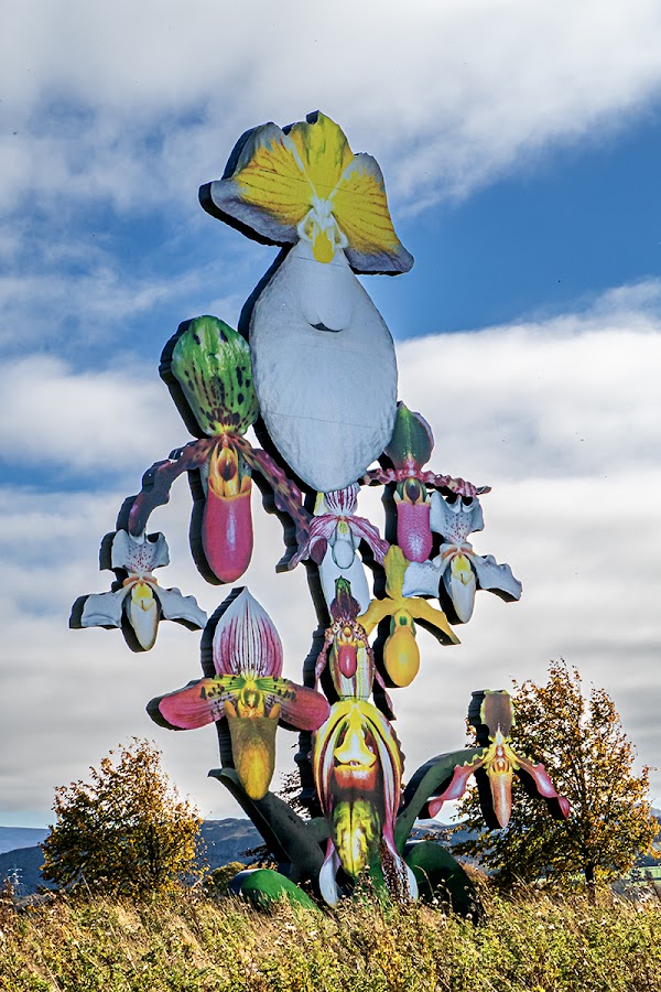 Jupiter Artland 2
