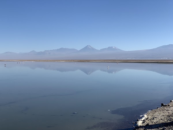 Laguna Chaxa