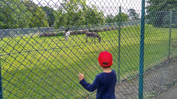 Golders Hill Park Zoo 5
