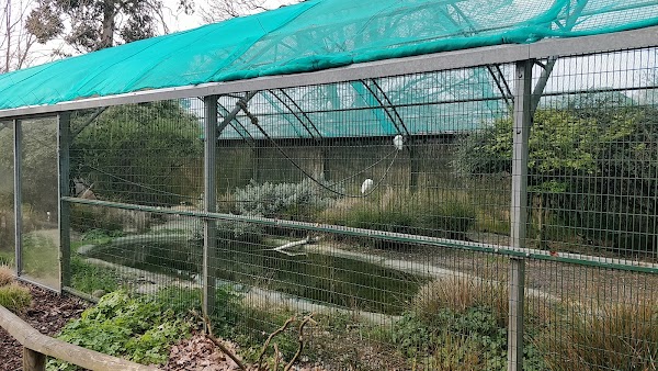 Golders Hill Park Zoo 4