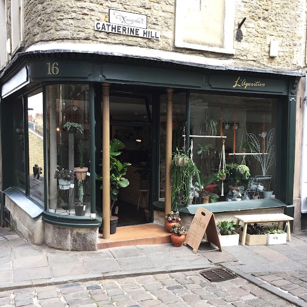 Pilea Plant Shop