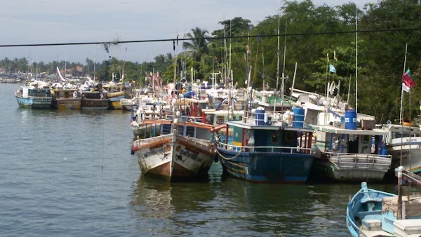 Negombo 5