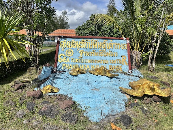 Sea Turtle Conservation Center 3