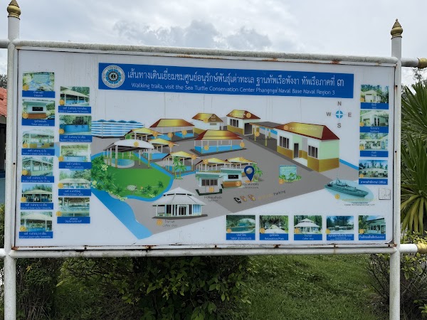Sea Turtle Conservation Center 2
