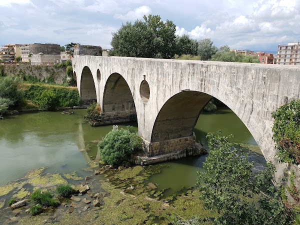 Capua 5