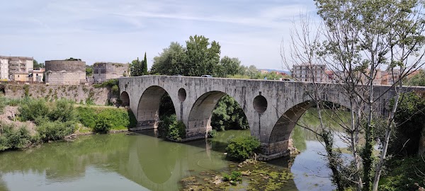 Capua 4