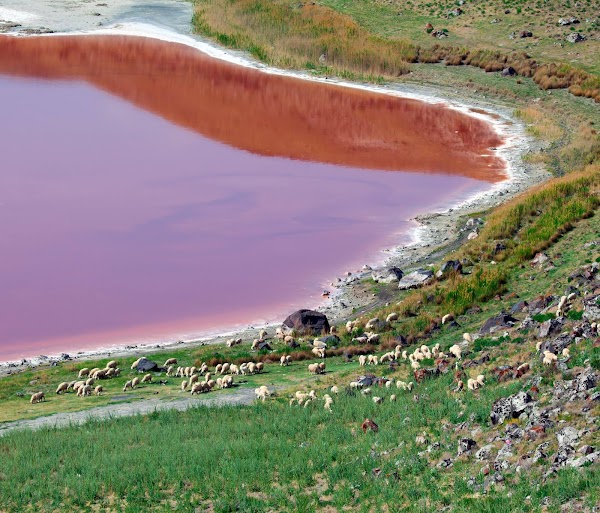 Lake Meke 4