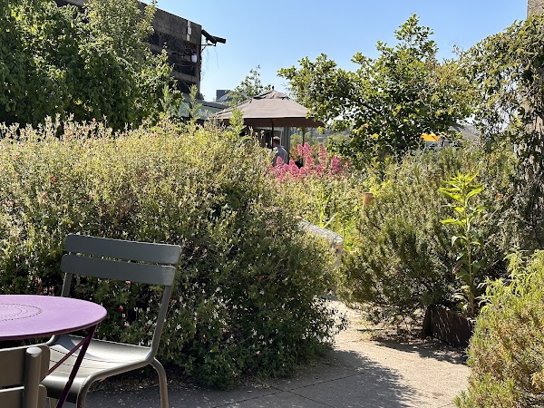 Queen Elizabeth Hall Roof Garden 1