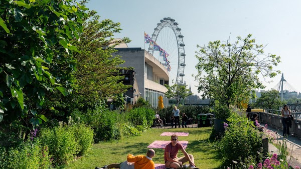 Queen Elizabeth Hall Roof Garden 4