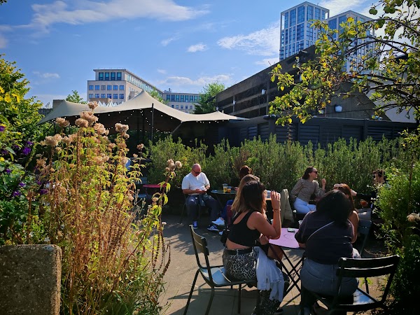 Queen Elizabeth Hall Roof Garden 2