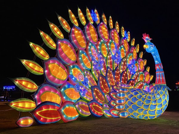 Los Angeles County Arboretum 2