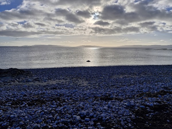 Salthill Prom 4
