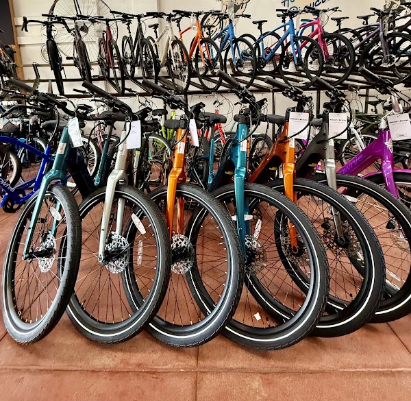 Holland's Bicycles 4
