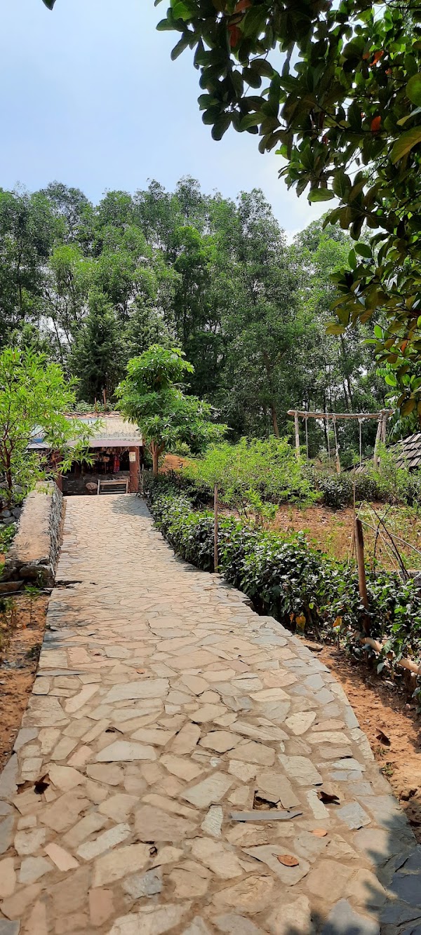 Jackfruit Village 4