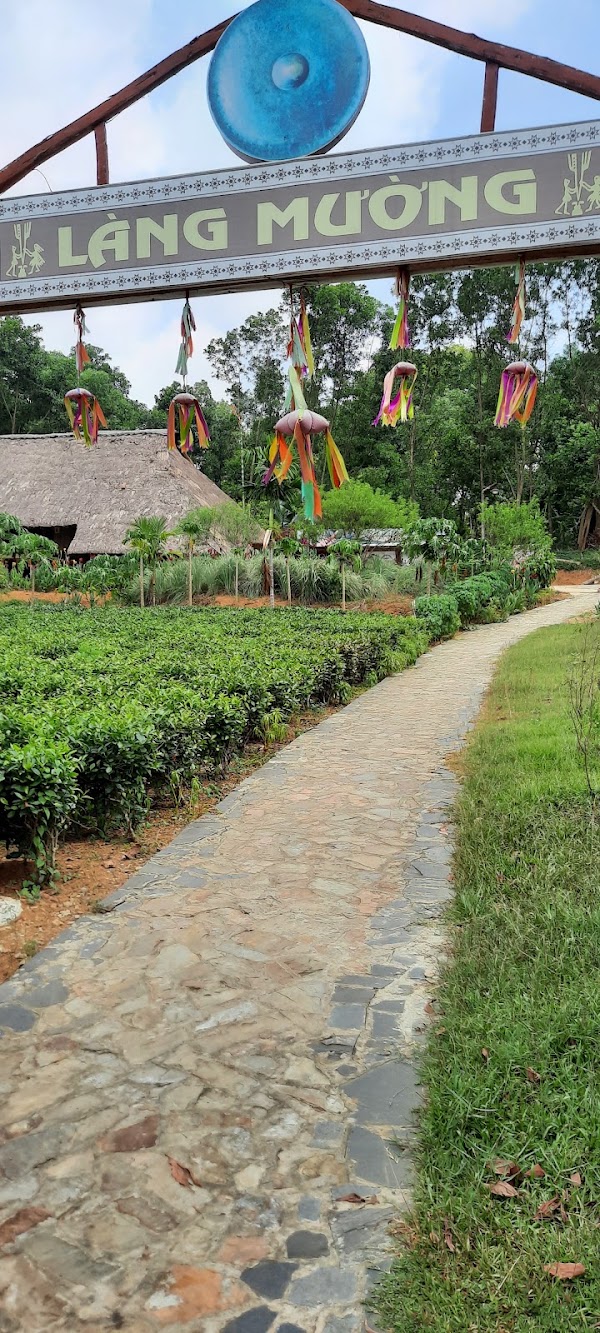 Jackfruit Village 2